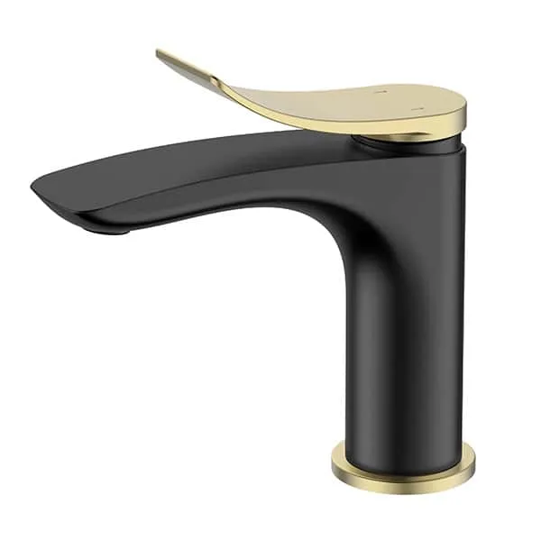 B073 01 – black & brushed gold