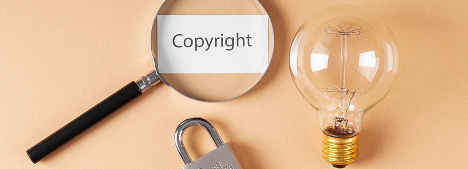 Intellectual Property (IP) Protection Intellectual Property (IP) Protection