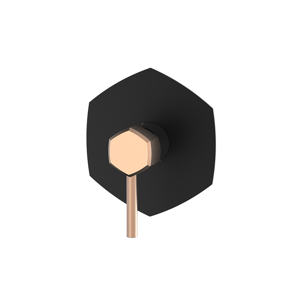Hexagonal concealed single way shower mixer