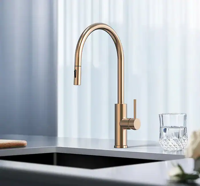 Kitchen faucet and stainless steel sink for a residential project Kitchen faucet and stainless steel sink for a residential project